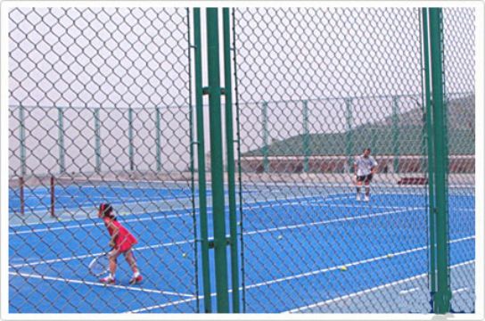 球場圍網(wǎng)
