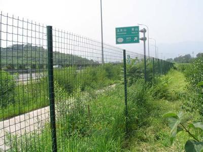 鐵絲護(hù)欄網(wǎng)6