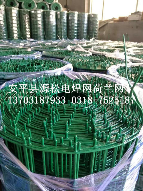 養(yǎng)雞鐵絲網圍欄2