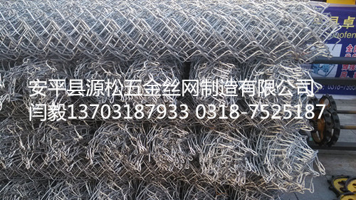 活絡(luò)網(wǎng)1