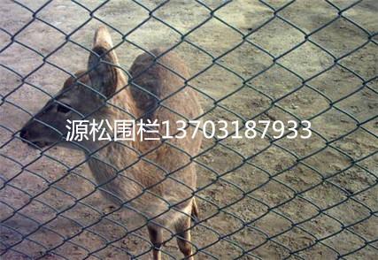 勾花網(wǎng)養(yǎng)殖圍欄