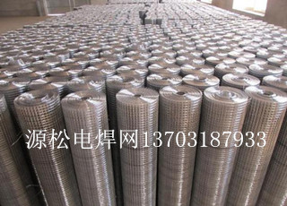 批蕩鐵絲網(wǎng)