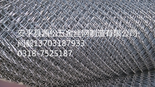 電廠保溫勾花鐵絲網