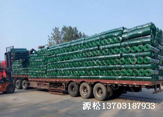 綠色塑料皮鐵絲網(wǎng)2