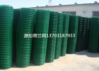 綠色塑料皮鐵絲網(wǎng)4