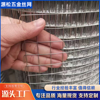 鍍鋅電焊網(wǎng)